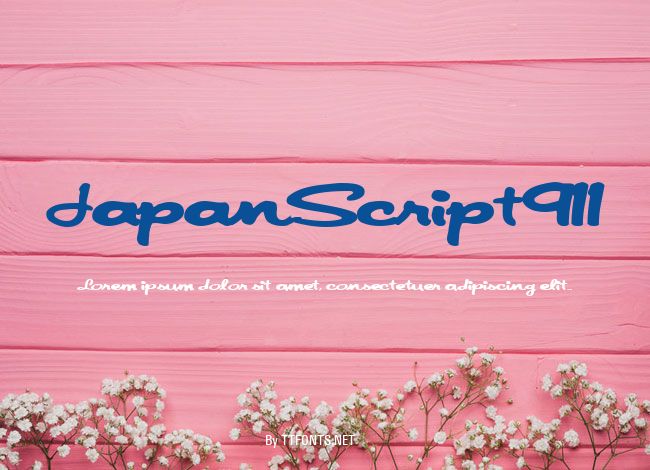 JapanScript911 example